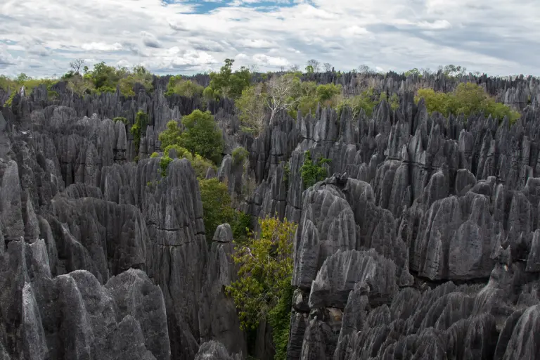 Tsingy de Bemaraha